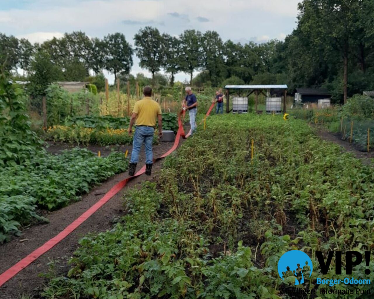 Brandweer helpt Moestuin Borger aan water! 